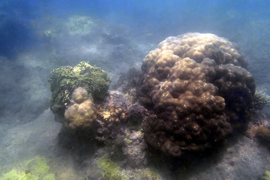 Kenia (523).jpg